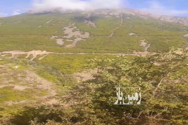 زمین کشاورزی ۱۶۰ متر جاده چالوس روستای ولی آباد-3