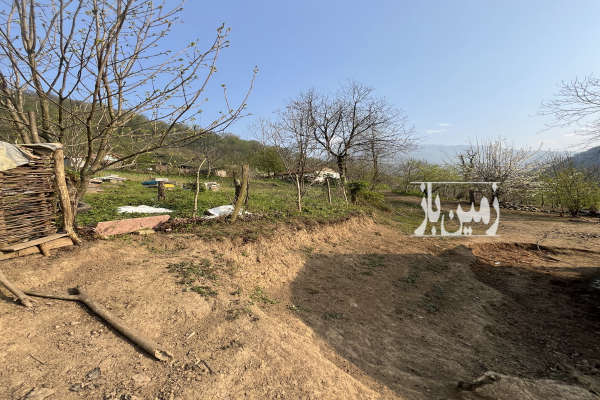 فروش باغ گیلان با ۶۰۰ متر زمین سیاهکل روستای بالارود-4