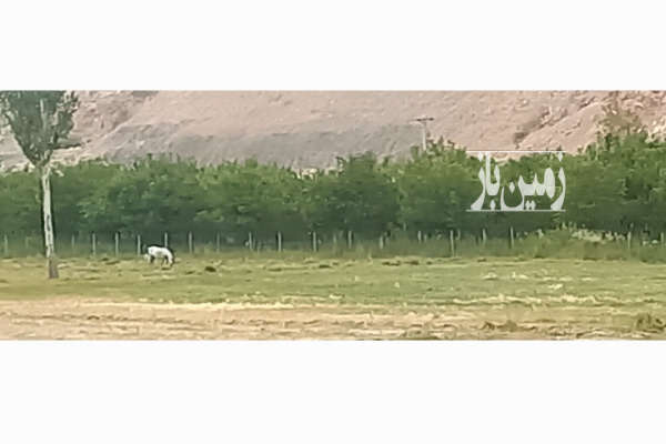 فروش زمین باغ کشاورزی تهران ۲۱۰۰ متر فیروزکوه روستای کمند-3