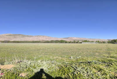 فروش زمین باغ صنعتی کشاورزی فارس ۲۰۰۰ متر هماشهر روستای احمد آباد