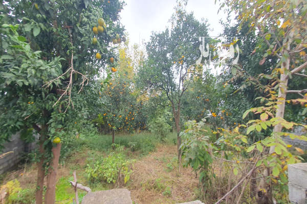 فروش زمین مسکونی شمال ۲۰۰ متر نوشهر روستای توسکاتک-1