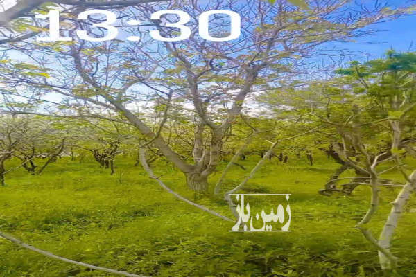 فروش باغ قزوین ۲۰۰۰ متر بویین زهرا روستای رودک-2