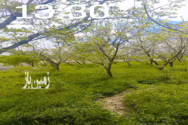 فروش باغ قزوین ۲۰۰۰ متر بویین زهرا روستای رودک-4