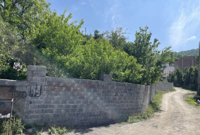 فروش باغ شمال با ۵۰۰ متر زمین قائمشهر روستای هفت تن