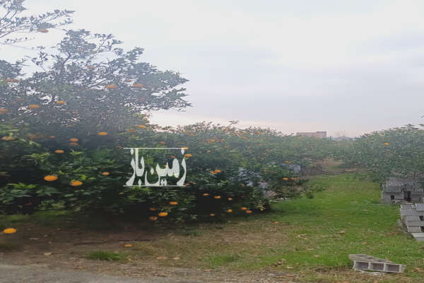 فروش زمین مسکونی شمال ۸۶۰ متر مرزیکلا-1