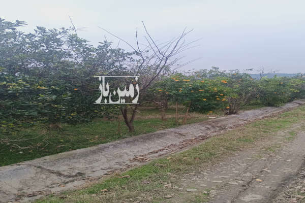 فروش زمین مسکونی شمال ۸۶۰ متر مرزیکلا-4