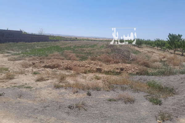 فروش زمین کشاورزی مرکزی ۴۰۰۰ متر زاویه جاده رحمت آباد-1