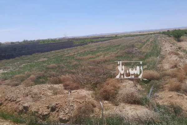 فروش زمین کشاورزی مرکزی ۴۰۰۰ متر زاویه جاده رحمت آباد-2