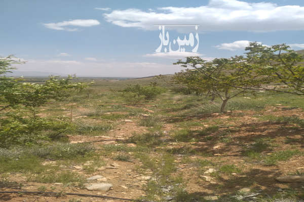 فروش باغ اصفهان با ۲۰۰۰ متر زمین فریدونشهر روستای سروشجان-1
