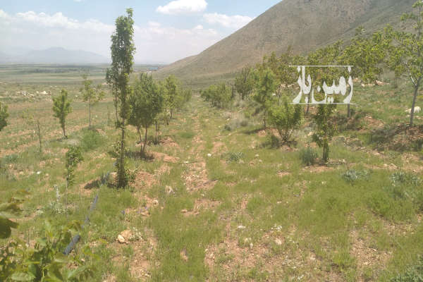 فروش باغ اصفهان با ۲۰۰۰ متر زمین فریدونشهر روستای سروشجان-2