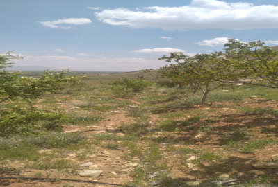 فروش باغ اصفهان با ۲۰۰۰ متر زمین فریدونشهر روستای سروشجان
