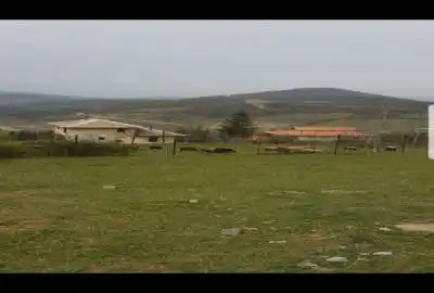 فروش زمین کشاورزی شمال ۲۷۰ متر روستای عالیکلا کیاسر