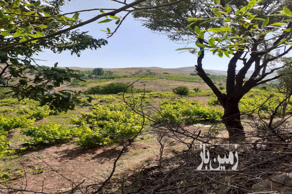 فروش باغ کشاورزی زنجان با ۱۰۰۰ متر زمین خرمدره روستای چالچوق-1