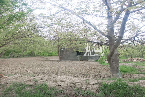 فروش باغ خراسان شمالی با۱۰۰۰ متر زمین بجنورد جاده‌ کوکمر‌پل‌ پیغو‌-4