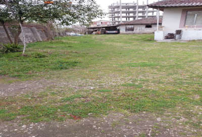 فروش زمین مسکونی تجاری گیلان ۲۵۰۰ متر چوبر روستای ویزنه