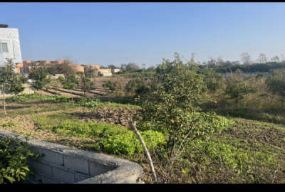فروش زمین مسکونی شمال ۱۱۰ متر ساری بلوار کشاورز