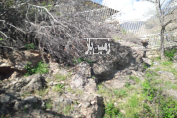 فروش زمین باغ تهران ۱۰۰ متر لواسان روستای برگ جهان-3