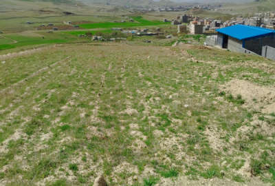 فروش زمین کشاورزی کردستان ۳۰۰۰ متر سنندج روستای قار