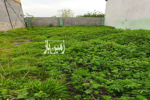 فروش زمین کشاورزی شمال ۲۴۶ متر ارطه قادیکلا-2