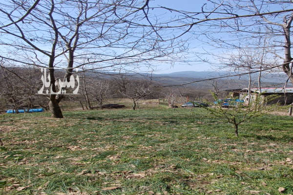 فروش زمین مسکونی سمنان ۳۰۰ متر شاهرود روستای کرنگ کالپوش-1