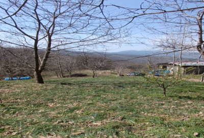 فروش زمین مسکونی سمنان ۳۰۰ متر شاهرود روستای کرنگ کالپوش