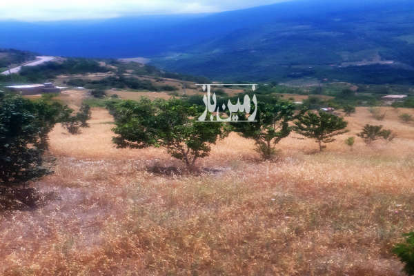 فروش زمین باغ گلستان ۱۵۰۰ متر رامیان روستای کوهستانی رضی-2