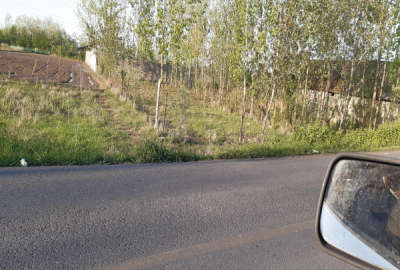 فروش زمین کشاورزی گیلان ۳۰۴ متر خمام چوکام روستای جیرسرباقرخاله
