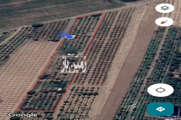 فروش زمین باغ قزوین ۶۰۰۰ متر مجاور روستای قدیم آباد-4