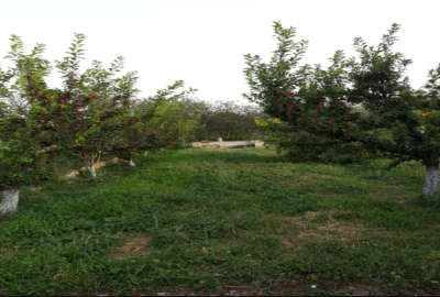 فروش زمین باغ قزوین ۶۰۰۰ متر مجاور روستای قدیم آباد