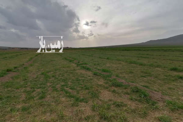 فروش زمین کشاورزی قم ۱۰۰۰ متر سلفچگان روستای راهجرد-1