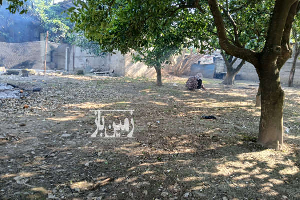 فروش باغ شمال با ۲۶۰۶ متر زمین بابل جاده گنج افروز روشن آباد-1