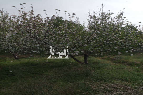 فروش زمین کشاورزی البرز ۴۱۹۹ متر تهراندشت روستای قنبراباد-1