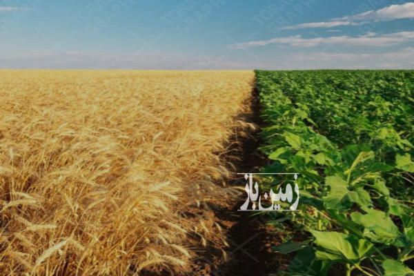 فروش زمین کشاورزی خراسان رضوی ۲۳ هکتار حومه مشهد-1