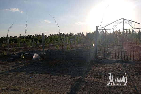 فروش زمین کشاورزی البرز ۵۰۹ متر کردان زعفرانیه دولت آباد جام جم-3