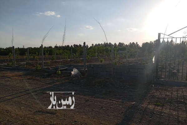 فروش زمین کشاورزی البرز ۵۰۹ متر کردان زعفرانیه دولت آباد جام جم-4