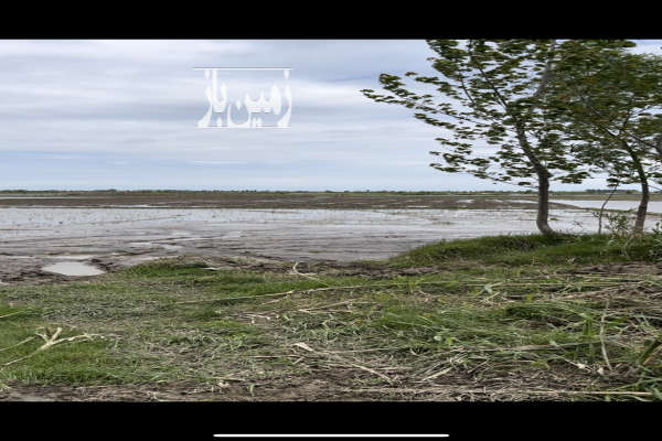 فروش زمین کشاورزی شمال ۵۱۰۰ متر آمل نظام آباد-2
