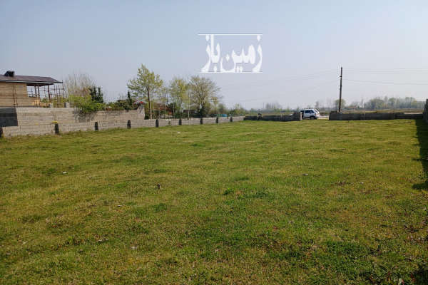 فروش زمین باغ کشاورزی گیلان ۹۵۰ متر صومعه‌ سرا روستای مرکیه-3