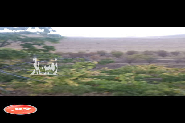 فروش زمین باغ مرکزی ۱۵۰۰ متر غرق‌ آباد جاده سنگر-3