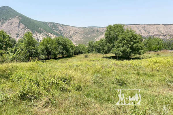 فروش زمین باغ شمال ۵۰۰ متر نوشهر کجور دشت نظیر-1