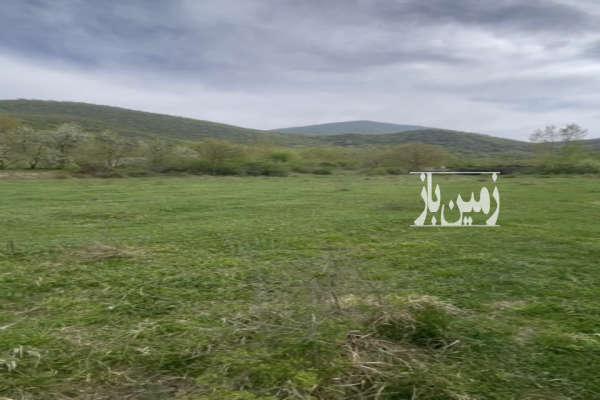 فروش زمین باغ شمال ۵۰۰ متر نوشهر کجور دشت نظیر-2
