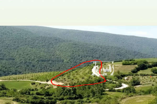 فروش زمین باغ شمال ۱۲۶۴۱ متر نکا روستای اسماعیل محله-4