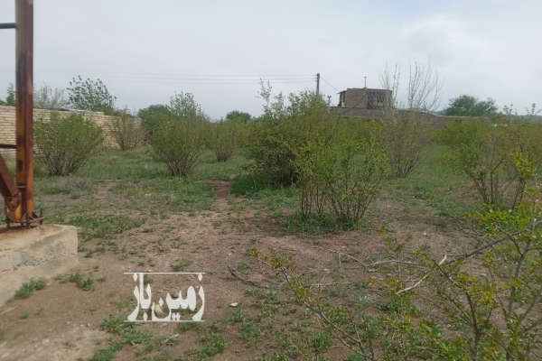 فروش زمین مسکونی باغ قم ۵۰۰ متر سلفچگان روستای کلاغ نشین-1