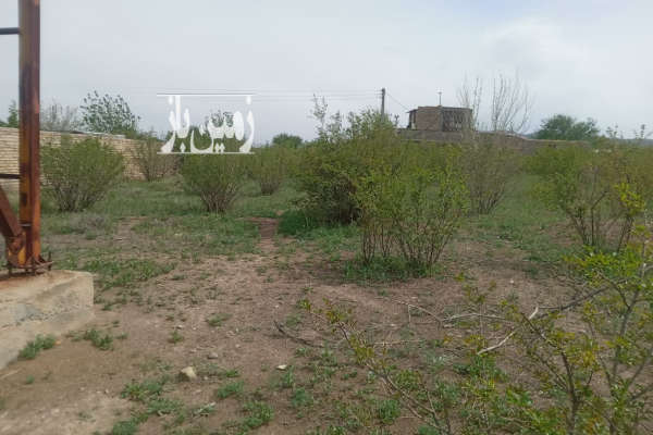 فروش زمین مسکونی باغ قم ۵۰۰ متر سلفچگان روستای کلاغ نشین-3