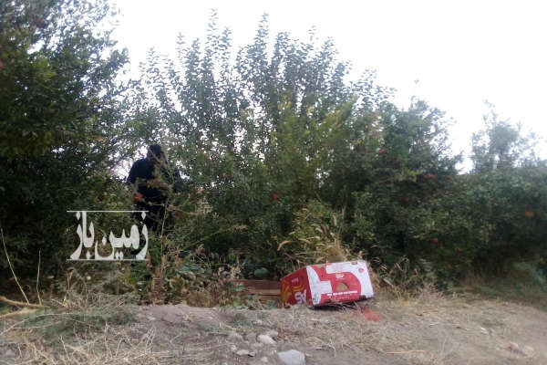 فروش زمین مسکونی باغ قم ۵۰۰ متر سلفچگان روستای کلاغ نشین-4