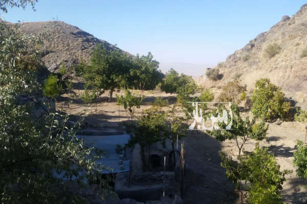 فروش زمین باغ خراسان جنوبی ۵۰۰۰ متر بیرجند مشرف به روستای خراشاد-1