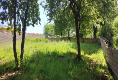 زمین فروشی در شمال ۴۳۳ متر مرزن آباد جاده طویر روستای فشکور