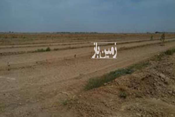 فروش زمین کشاورزی زنجان ۱۰۰۰ متر ابهر-1