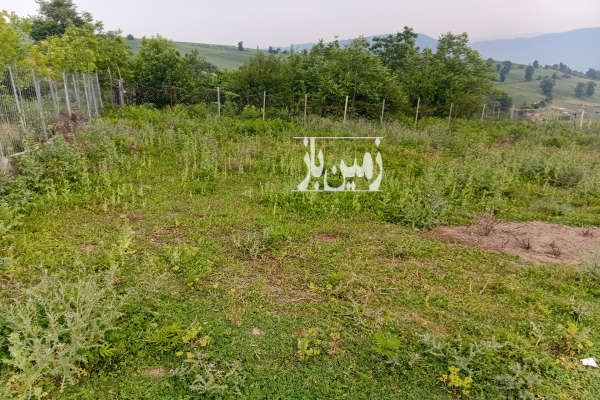فروش زمین باغ شمال ۲۰۰ متر ساری روستای لارما-2