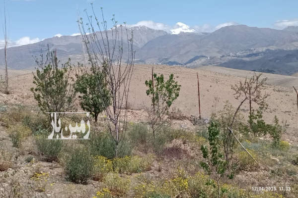 فروش زمین باغ تهران ۷۰۲ متر بومهن شهرک تماشا کرشت-3