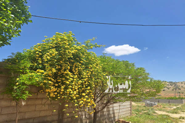 فروش زمین مسکونی باغی فارس ۷۰۰ متر اردکان منطقه همایجان-2